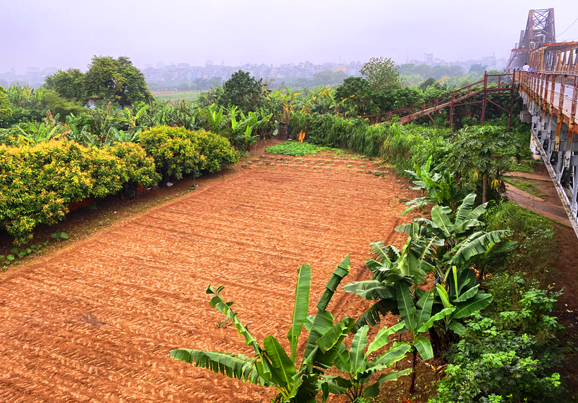 Ảnh minh họa. (Nguồn ảnh: Hùng Nguyễn/Vietnam+)