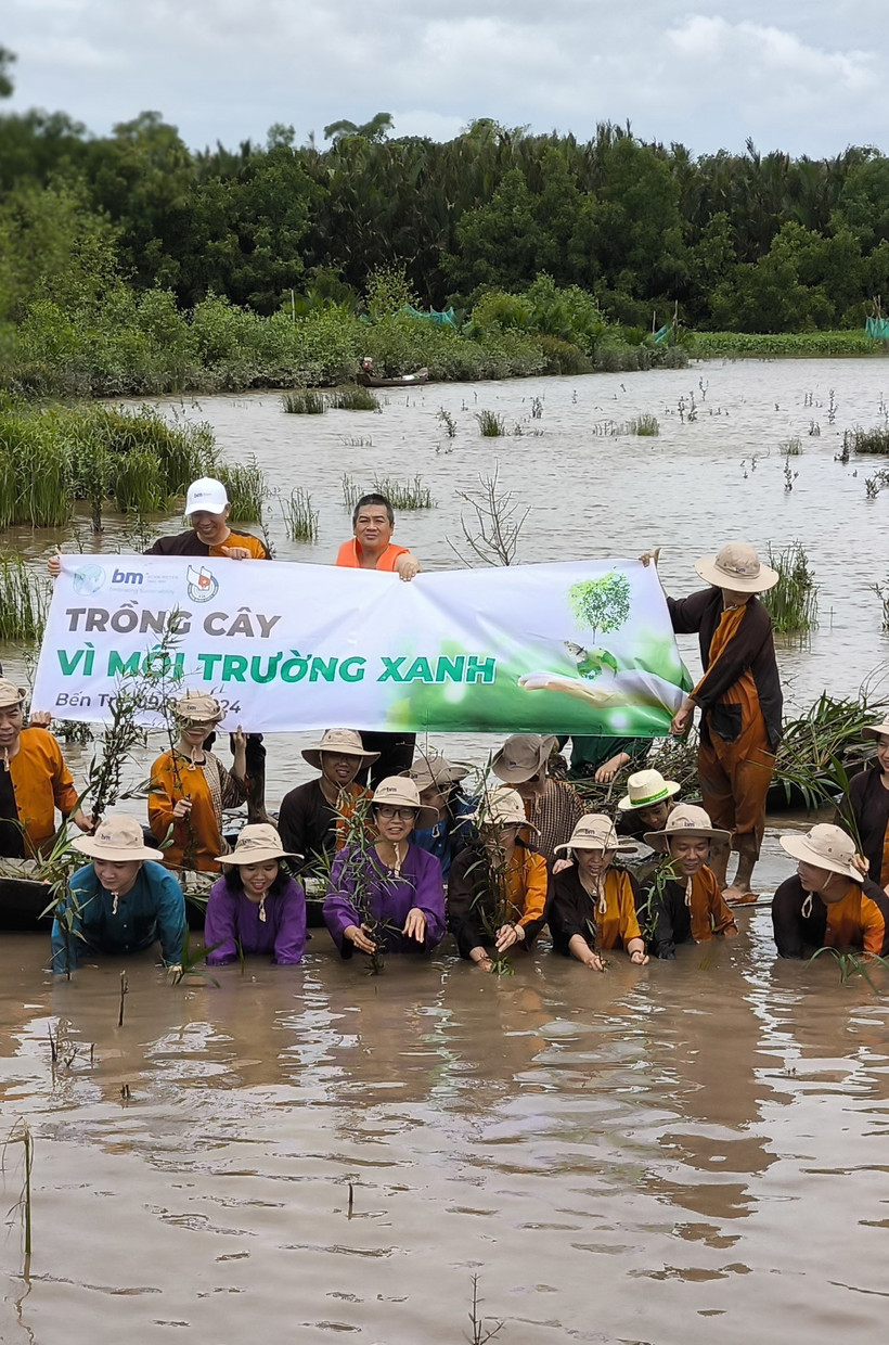 Bến Tre: Du khách tham gia trồng rừng trên bãi sông