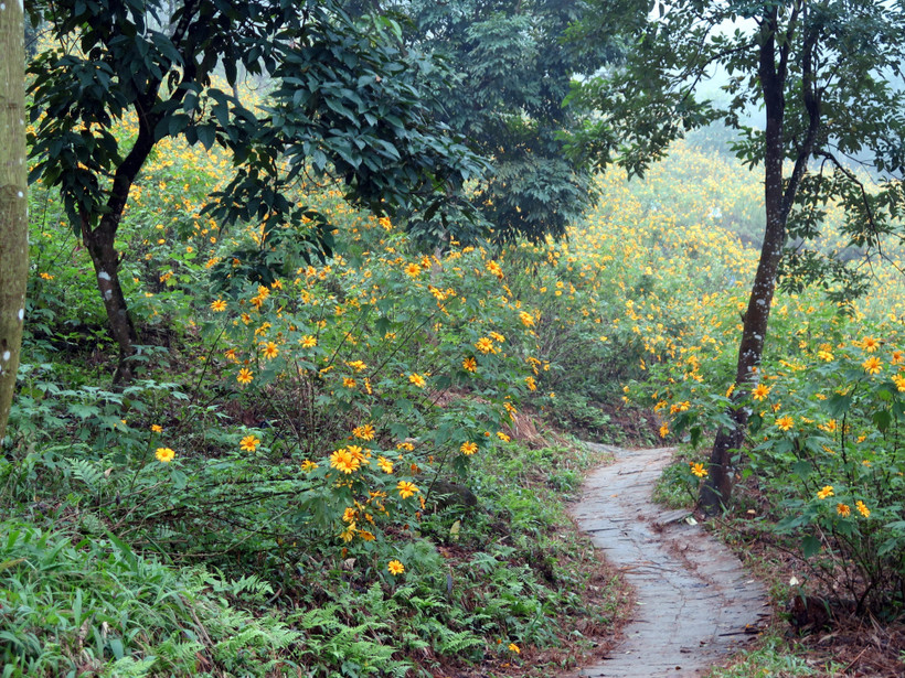 Du lịch nghỉ dưỡng ở vùng ven những đô thị lớn như Hà Nội lại phát triển rất chậm. (Ảnh: Nguyễn Văn Cảnh/TTXVN)