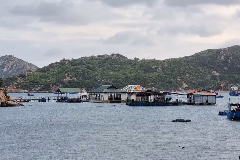 Các nhà hàng, bè nổi hoạt động kinh doanh dịch vụ du lịch trên vịnh Vĩnh Hy không đủ điều kiện hoạt động. (Ảnh: Nguyễn Thành/TTXVN)