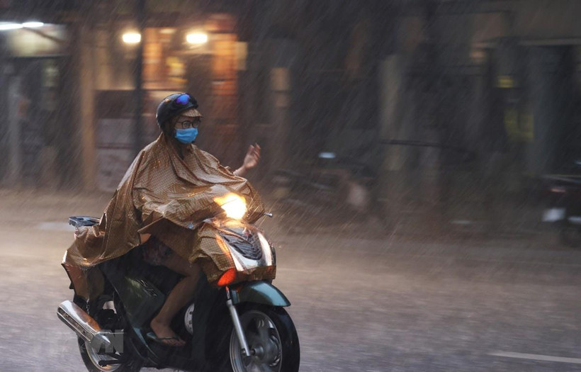 (Ảnh: Dương Giang/TTXVN)