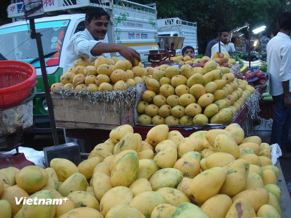 Trái cây Việt Nam. (Ảnh minh họa. Nguồn: PV/Vietnam+)