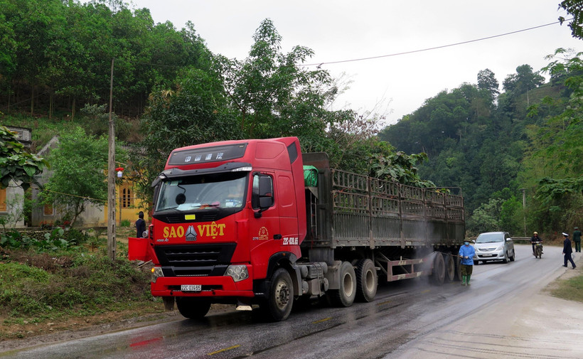 Cán bộ kiểm dịch phun thuốc khử trùng phương tiện lưu thông qua trạm. (Ảnh: Văn Tý/TTXVN) 