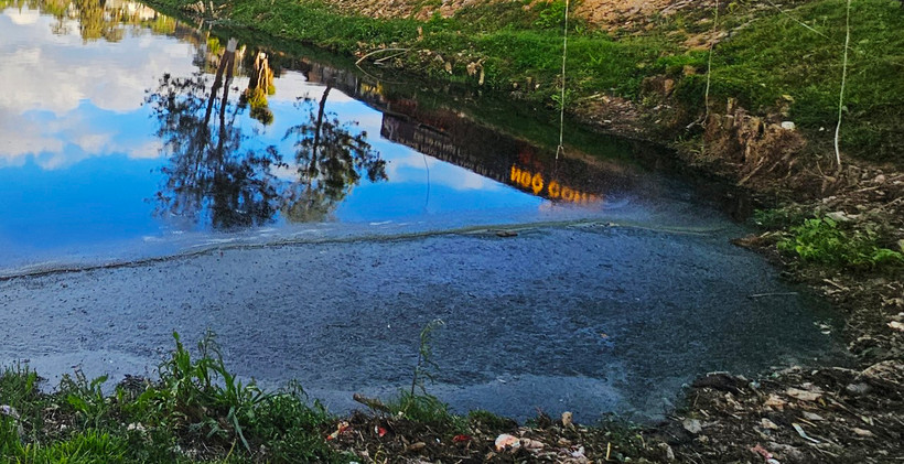 Dòng nước đen kịt và ngập rác tại Hồ Đội Có, một trong những hồ lắng quanh Hồ Xuân Hương. (Ảnh: Báo Lâm Đồng)