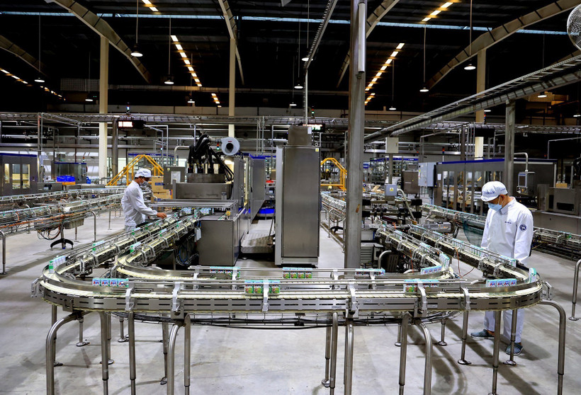 Dây chuyền sản xuất sữa tươi Vinamilk từ trang trại xanh, thân thiện với môi trường. (Ảnh: Hồng Đạt/TTXVN)