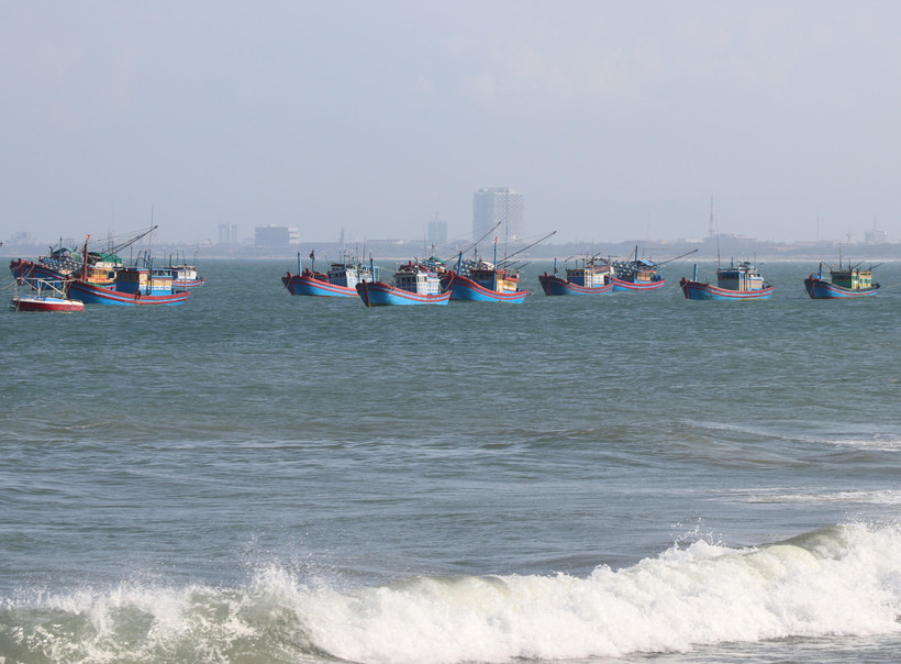 (Ảnh: Phạm Cường/TTXVN)