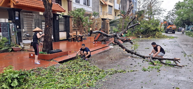 Người dân phường Hồng Hà, thành phố Hạ Long dọn dẹp sau bão. (Ảnh: Đức Hiếu/ TTXVN)