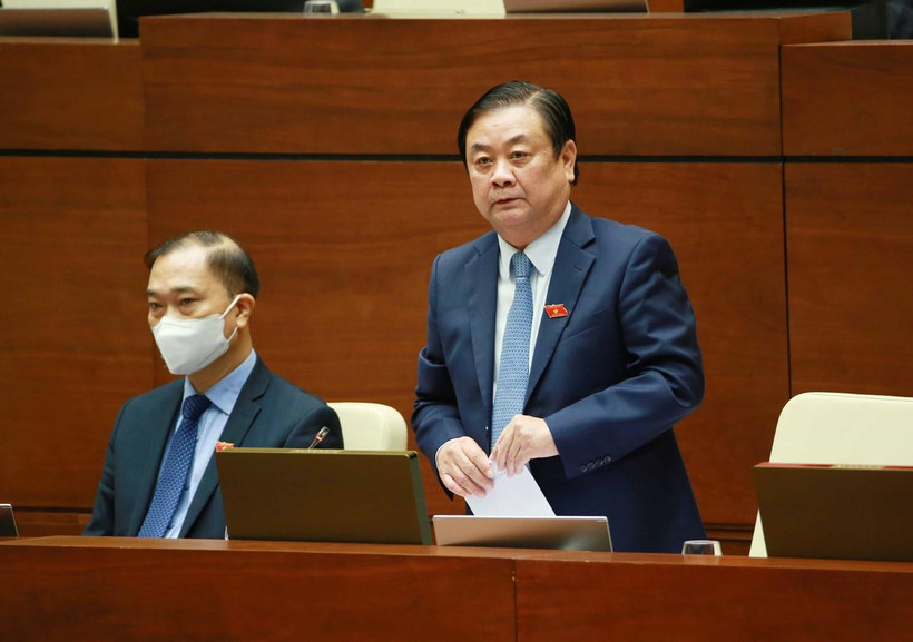 Bộ trưởng Bộ Nông nghiệp và Phát triển nông thôn Lê Minh Hoan giải trình làm rõ vấn đề Đại biểu Quốc hội nêu. (Ảnh: Phương Hoa/TTXVN)