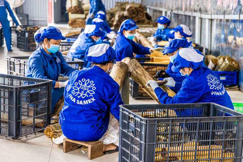 Cả nước cũng có hơn 23,6 nghìn doanh nghiệp quay trở lại hoạt động trong quý 1. (Ảnh minh họa. Nguồn: Vietnam+)