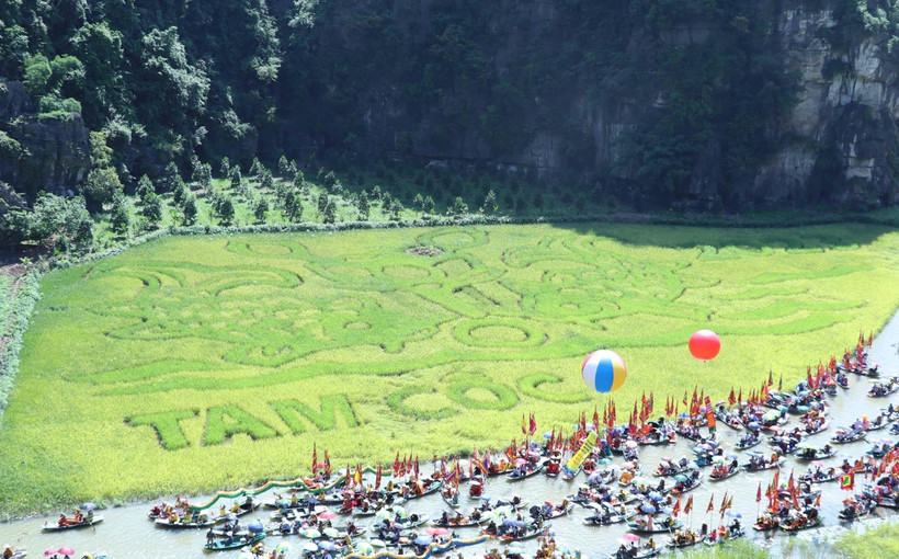 Bức tranh “Lý ngư vọng nguyệt” được tạo nên bằng những cây lúa là điểm nhấn của Tuần lễ du lịch. (Ảnh: Đức Phương/TTXVN)