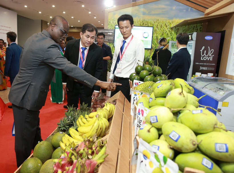 Sau khi hàng hóa đáp ứng tiêu chí có xuất xứ Việt Nam, hàng hóa Việt Nam, phải được thể hiện nhãn mác bằng tiếng Việt và bổ sung bằng ngôn ngữ khác tương ứng. (Ảnh: Lâm Khánh/TTXVN)