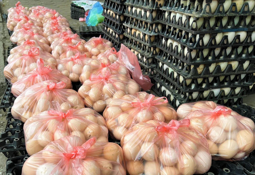 Giá trứng đang giảm mạnh. (Ảnh: Minh Hiếu/Vietnam+)