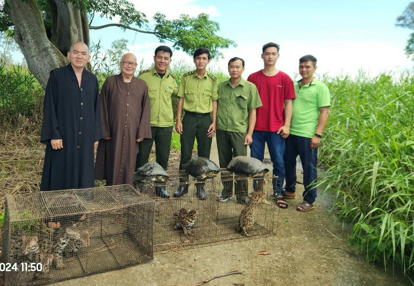 9 cá thể động vật hoang dã được thả về rừng tự nhiên. (Ảnh: T.P/TTXVN phát)