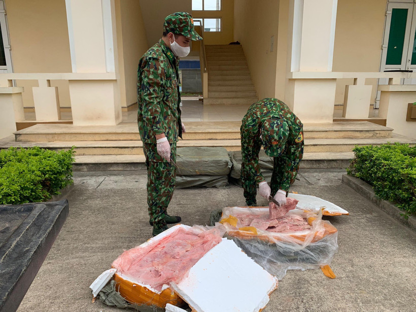 Lực lượng biên phòng Chi Ma (Lạng Sơn) kiểm tra số nầm lợn nhập lậu bị thu giữ. (Ảnh: TTXVN)