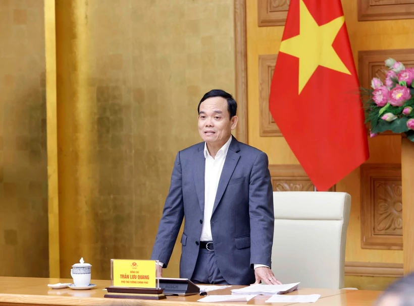 Phó Thủ tướng Trần Lưu Quang. (Ảnh: Doãn Tấn/TTXVN)