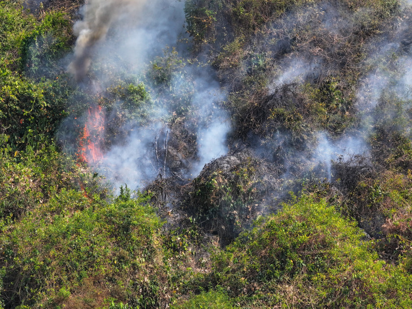 Đám cháy tại tiểu khu 66 (khu vực núi Phụng) thuộc quần thể khu Di tích lịch sử và danh lam thắng cảnh núi Bà Đen. (Ảnh: Thanh Tân/TTXVN)