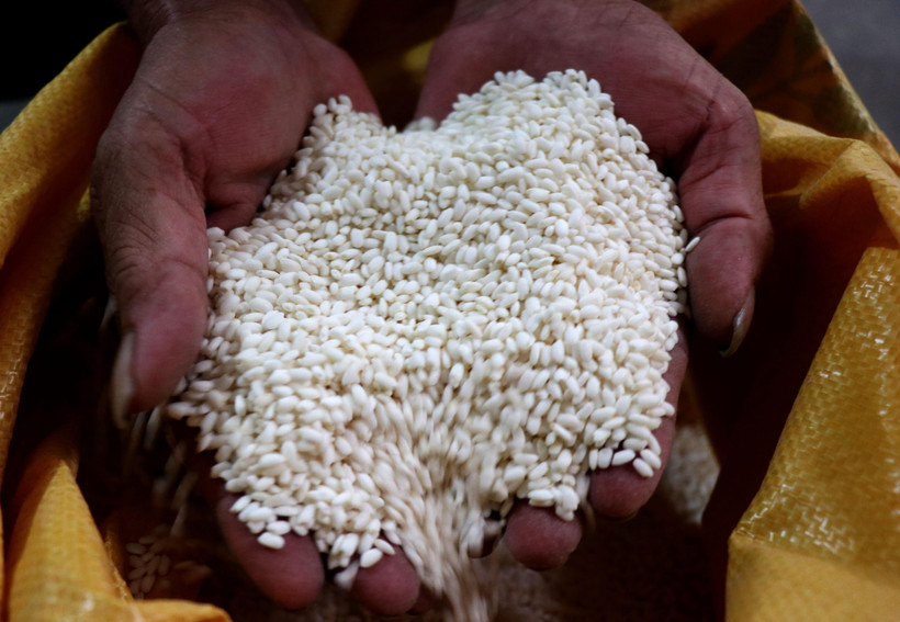 Gạo nếp cái hoa vàng Yên Phụ, Bắc Ninh. (Ảnh: Đinh Văn Nhiều/TTXVN)