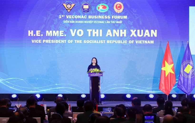 Phó Chủ tịch nước Võ Thị Ánh Xuân phát biểu tại Diễn đàn Doanh nghiệp Cựu chiến binh ASEAN lần thứ nhất. (Ảnh: An Đăng/TTXVN)