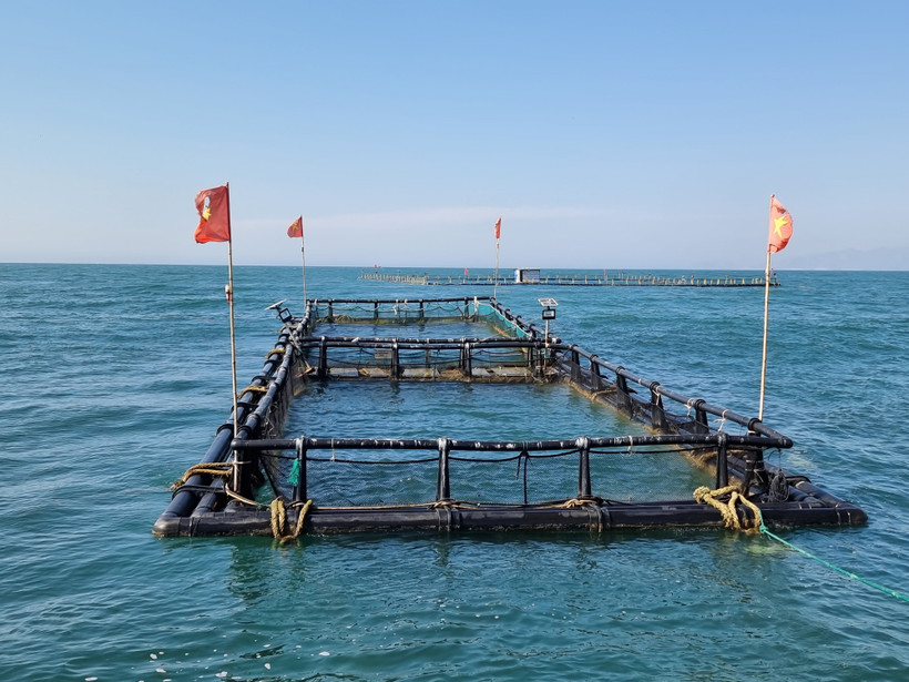 Ảnh minh họa. (Ảnh: Nguyễn Thành/TTXVN)