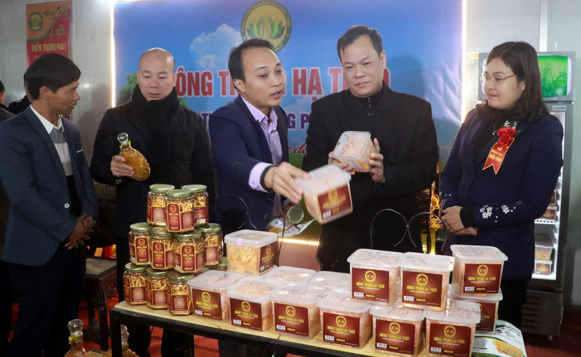 Lãnh đạo tỉnh Nam Định và Cục Xúc tiến thương mại cùng các đại biểu thăm quan các gian hàng tại Hội chợ Công thương khu vực phía Bắc-Nam Định năm 2020. (Ảnh: Nguyễn Lành/TTXVN)