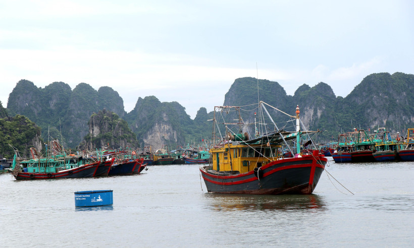 Các tàu, thuyền đã về nơi tránh trú neo đậu an toàn. (Ảnh: Văn Đức/TTXVN)