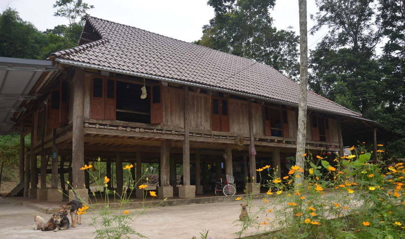 Ngôi nhà sàn của gia đình bà Phạm Thị Sáu (thôn Lập Thắng, xã Thạch Lập, huyện Ngọc Lặc) có tuổi đời gần 100 năm. (Ảnh: Nguyễn Nam/TTXVN)