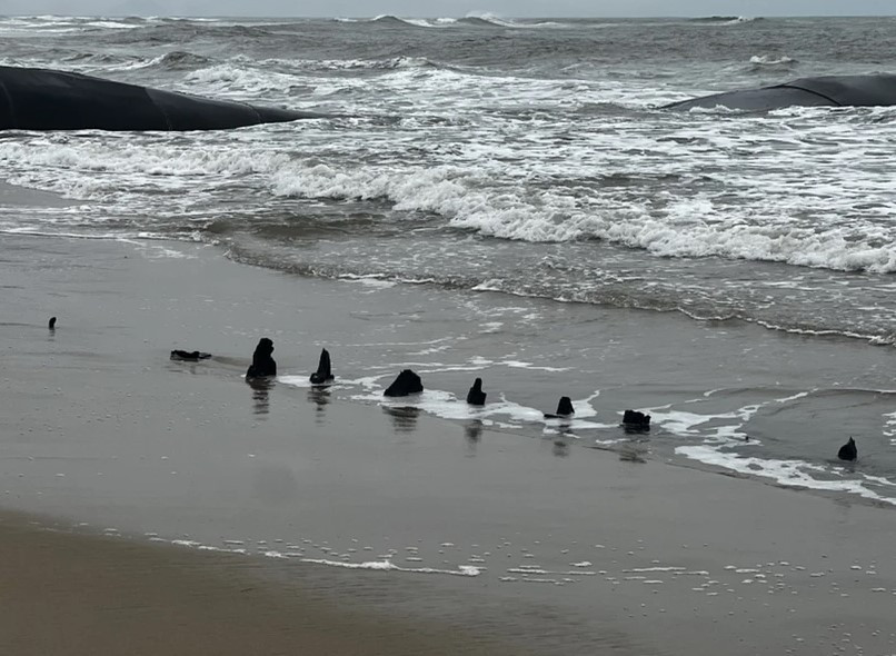 Xác tàu gỗ lộ thiên được ngư dân phát hiện tại bờ biển Tân Thành (TP Hội An) sau đợt triều cường, mưa lớn hai ngày vừa qua. (Nguồn: Báo Công an Nhân dân) 