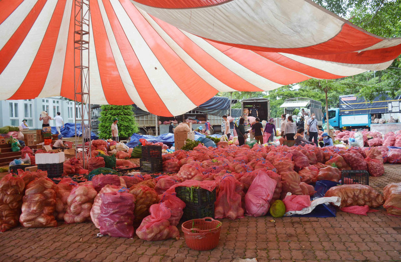 Điểm tập kết nông sản tại Tỉnh Đoàn Đắk Lắk chờ vận chuyển đi hỗ trợ cho các tỉnh phía Nam trong đợt dịch lần thứ 4. (Ảnh: Hoài Thu/TTXVN)