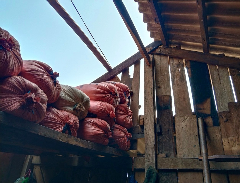 Ảnh minh họa. (Ảnh: TTXVN phát)