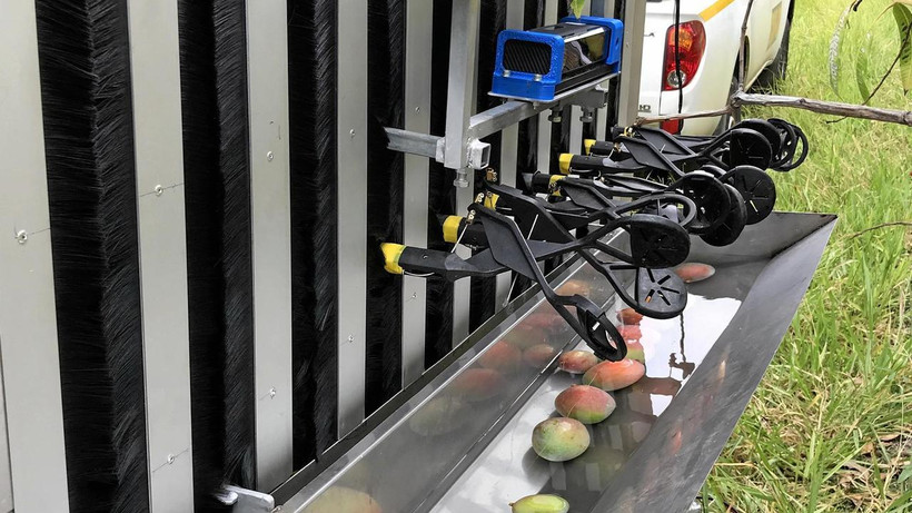 (Nguồn: weeklytimesnow.com.au)