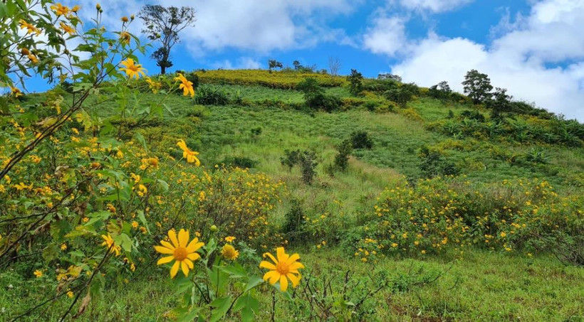 Trên đỉnh núi lửa Chư Đang Ya. (Ảnh: Hồng Điệp/TTXVN)