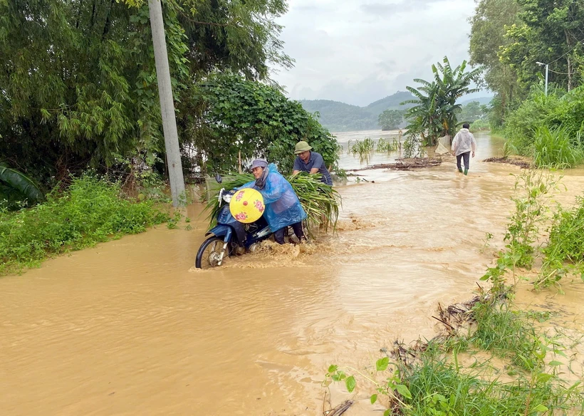 Ngập úng tại xã Tú Thịnh, huyện Sơn Dương. (Ảnh: TTXVN phát)