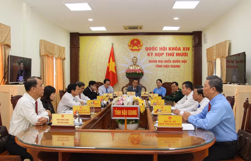 Các đại biểu dự kỳ họp bằng hình thức trực tuyến. (Ảnh: Hồng Thái/TTXVN)
