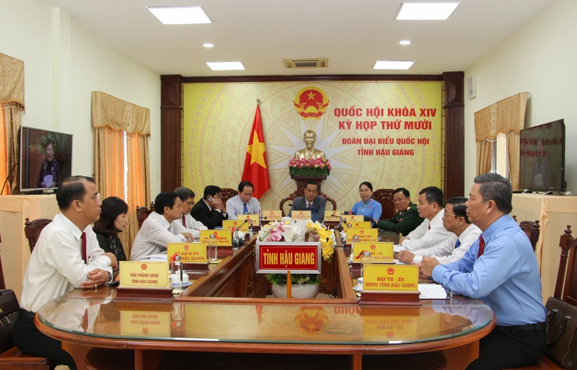 Các đại biểu dự kỳ họp bằng hình thức trực tuyến. (Ảnh: Hồng Thái/TTXVN)
