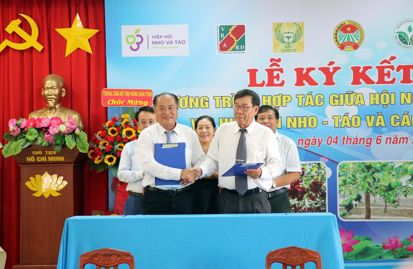 Hội Nông dân tỉnh và Hiệp hội Nho - Táo Ninh Thuận ký kết hợp tác tuyên truyền quy chế quản lý, sử dụng, chỉ dẫn địa lý cho sản phẩm nho, táo. (Ảnh: Công Thử/TTXVN)