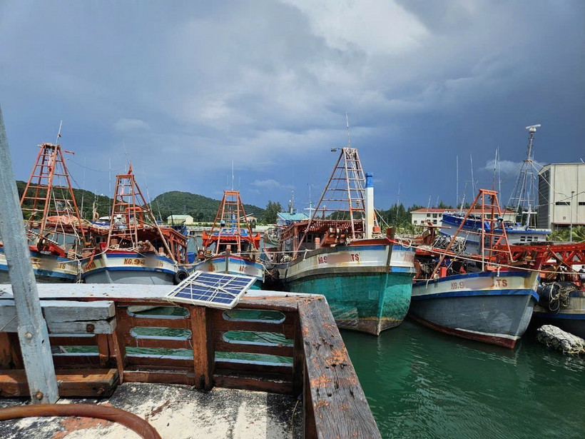 Các phương tiện vi phạm bị tạm giữ để phục vụ công tác điều tra. (Ảnh: TTXVN phát)