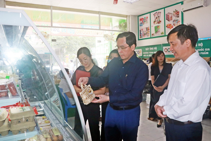 HĐND huyện Chương Mỹ giám sát tại xã Đông Phương Yên. (Ảnh: Nguyễn Cúc/TTXVN)