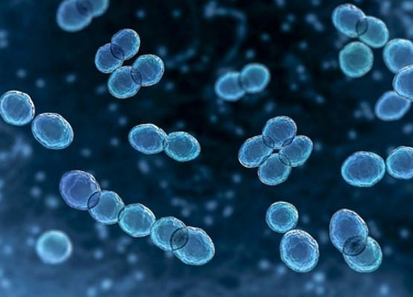 Tokyo báo cáo số ca mắc nhiều nhất với 145 ca.