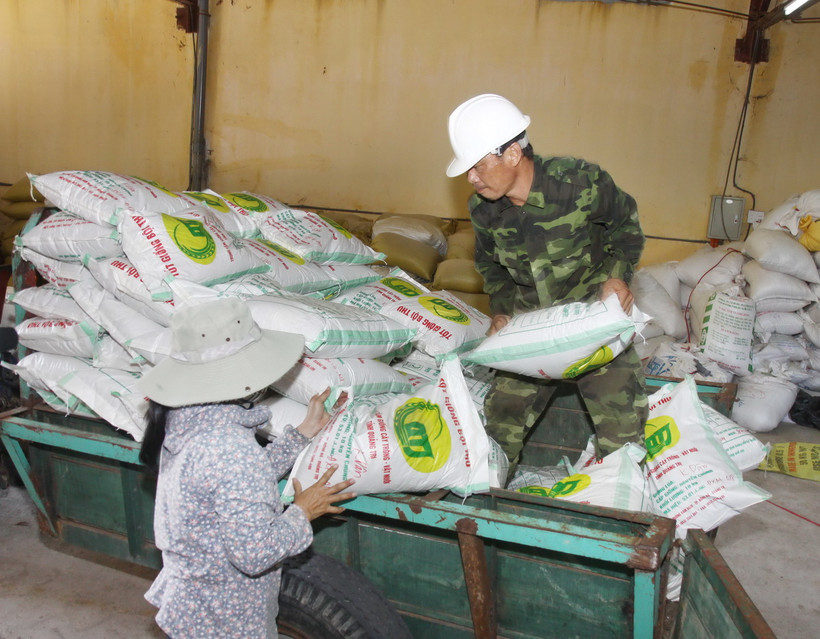 Bốc xếp, vận chuyển giống lúa tại kho của Trung tâm Giống cây trồng, vật nuôi tỉnh Quảng Trị để cung ứng cho các địa phương. (Ảnh: Hồ Cầu/TXVN)