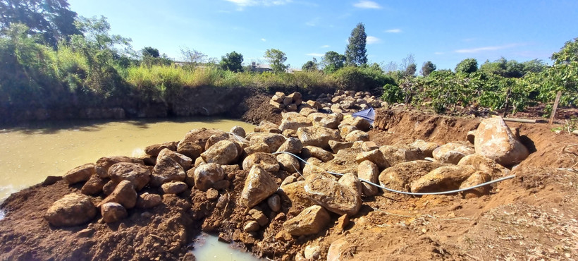 Hàng trăm khối đá lớn nằm la liệt trong khu vực rẫy cà phê của ông Thủy. (Ảnh: Quang Thái/TTXVN)