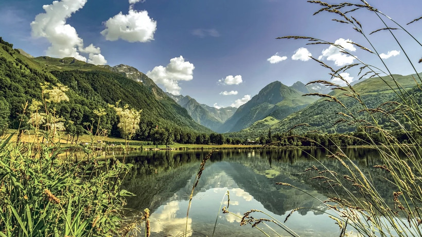 Ảnh minh họa. (Nguồn: rte)