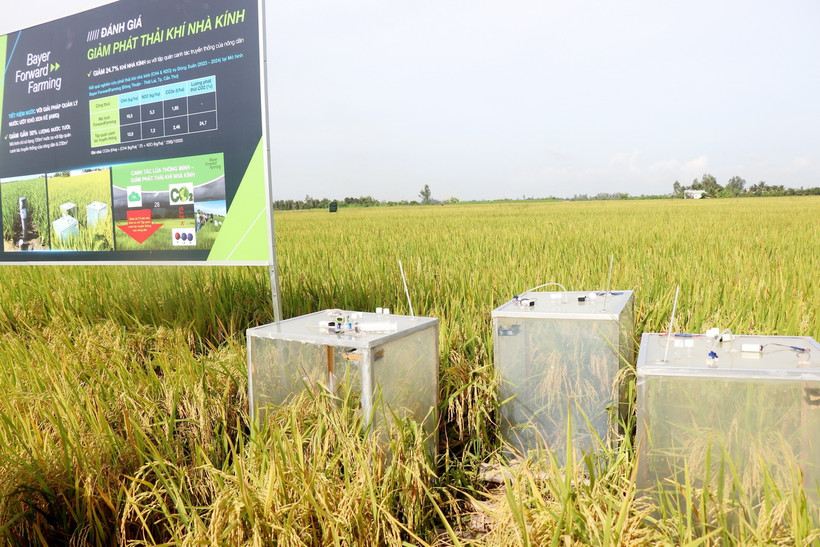 Thiết bị đo lượng phát thải khí nhà kính được triển khai tại mô hình canh tác lúa hữu cơ ở Cần Thơ. (Ảnh: Thu Hiền/TTXVN)