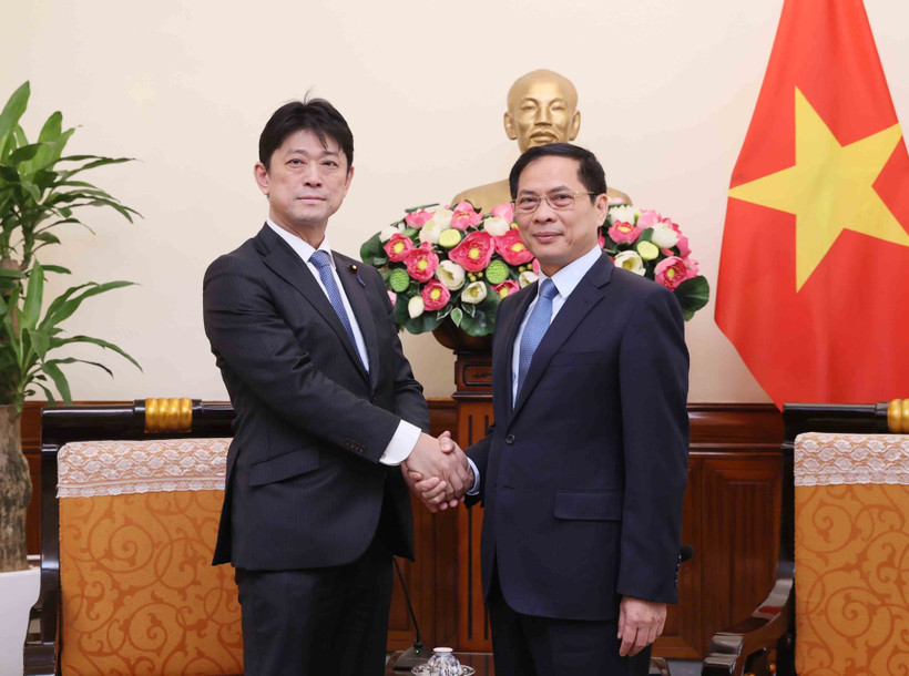 Bộ trưởng Ngoại giao Bùi Thanh Sơn tiếp Hạ nghị sỹ, Thứ trưởng Ngoại giao Nhật Bản Komuru Masahiro. (Ảnh: An Đăng/TTXVN)