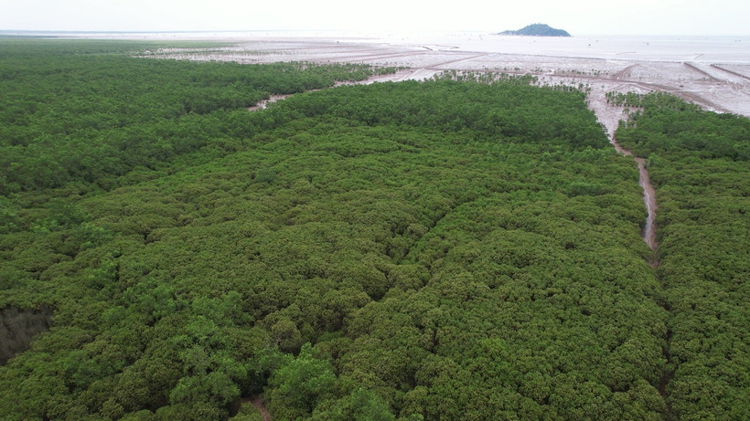 Hành động vì tương lai xanh. (Ảnh: Hùng Võ/Vietnam+)