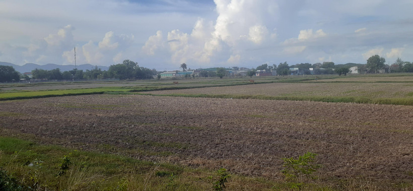 (Ảnh minh họa: Hoàng Nhị/TTXVN)