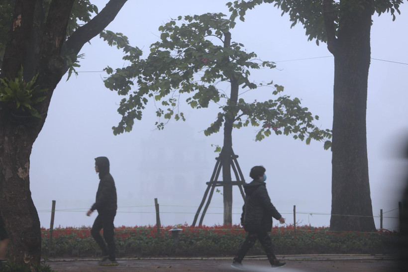 (Ảnh minh họa: Thành Đạt/TTXVN)