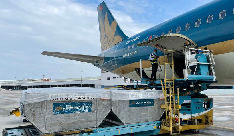 Vietnam Airlines miễn phí vận chuyển vaccine và vậ tư tiêm chủng COVID-19. (Ảnh: CTV/Vietnam+)