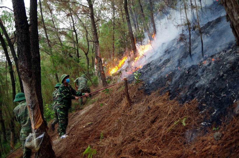 Khống chế đám cháy rừng tại Nam Đàn, Nghệ An. (Ảnh: TTXVN phát)