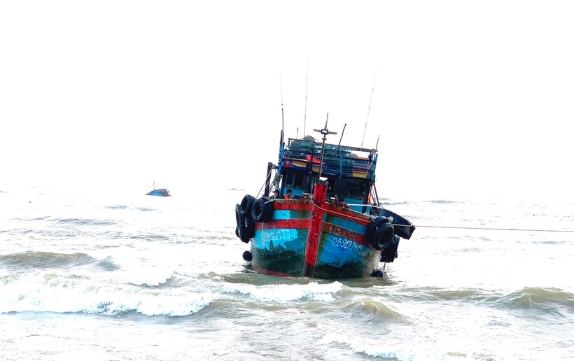 (Ảnh: TTXVN phát)