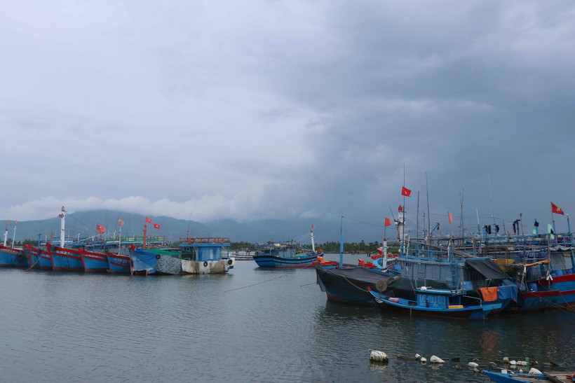 Toàn bộ tàu thuyền vào trú ẩn tại khu tránh trú bão An Hòa đều được hướng dẫn neo đậu ngay thẳng và chằng chống cẩn thận. (Ảnh: Đoàn Hữu Trung/TTXVN)